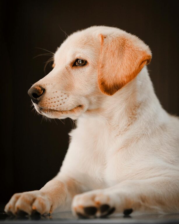 Mindful Breaks You Can Take in Five Minutes to Refresh Your Day